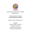 Reporte de laboratorio de biología “TEJIDO MUSCULAR Y ADIPOSO”