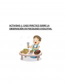 CASO PRÁCTICO SOBRE LA OBSERVACIÓN EN PSICOLOGÍA EVOLUTIVA.
