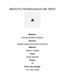 Calculo Integral - Áreas amorfas