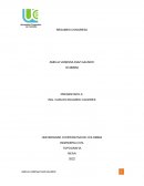 RESUMEN PONENCIAS CONGRESO