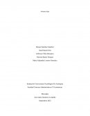 Mercadeo chocolates REX