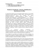 Modelo de Sustitución, Aumento, Modificación y Redefinición (SAMR)