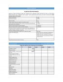 FLUJOS DE EFECTIVO ANUALES