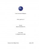 Ensayo ¿quién soy yo?