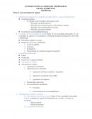 Las sociedades de capital