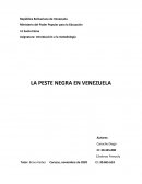 La peste negra en Venezuela