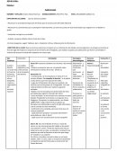 PLAN DE CLASES. LA CONQUISTA DEL DESIERTO