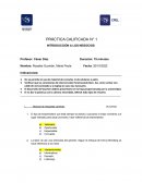 PRÁCTICA CALIFICADA N° 1 INTRODUCCIÓN A LOS NEGOCIOS