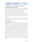 PROPUESTA EDUCATIVA PARA LA INCLUSIÓN DE UNA DISLEXIA EN EL AULA