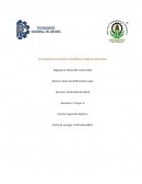 Desarrollo sustentable. Cambio climático