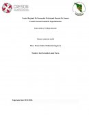 Ensayo contexto social