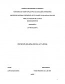 PROYECCIÓN COLUMNA CERVICAL AP Y LATERAL