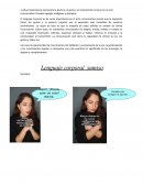 ¿Qué importancia representa la postura, el gesto y el movimiento humano en el acto comunicativo?