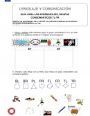 Guía Lectura y Escritura TL y TR 2º Básico