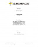 Auditoria en sistemas.Análisis de caso