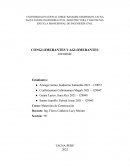 CONGLOMERANTES Y AGLOMERANTES INFORME