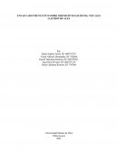 ENSAYO ARGUMENTATIVO SOBRE DISPOSITIVOS ESCRITOS, VISUALES O AUDIOVISUALES