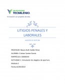 LITIGIOS PENALES Y LABORALES ALEGATOS DE APERTURA