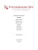 ABP Procesos cognitivos memoria