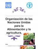 Organización de las Naciones Unidas para la Alimentación y la agricultura