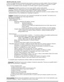 PROPIEDADES DEL TEXTO