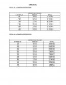 EJERCICIO 1 FICHA DE ALMACÉN CRITERO PMP