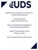 Fundamentación Teórica de la Psicopedagogía