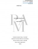 Información y actividad sobre PEDRO ANDRÉS MÉNDEZ SAS