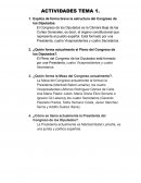 Explica de forma breve la estructura del Congreso de los Diputados