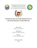 INFORME DE PRACTICAS PRE PROFESIONALES