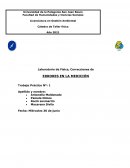 ERRORES EN LA MEDICIÓN Trabajo Práctico Nº: 1