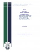 PRÁCTICA Segunda ley de newton