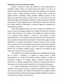 Fisiologia de buceo de vertebrados marinos