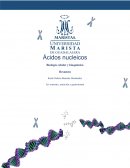 Ácidos nucleicos. Biología celular y bioquímica