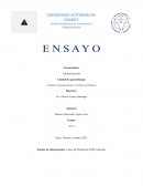 Ensayo contexto socioeconomico y politico de México