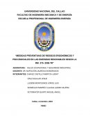 MEDIDAS PREVENTIVAS DE RIESGOS ERGONÓMICOS Y PSICOSOCIALES EN LAS ENERGÍAS RENOVABLES SEGÚN LA RM. 375- 2008-TR