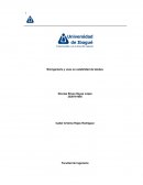 Bioingeniería y usos en estabilidad de taludes