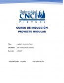 CURSO DE INDUCCIÓN PROYECTO MODULAR