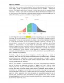 Segmentos de público