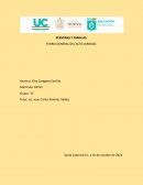 Teoría general del acto jurídico