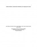 Cambio climático, contaminación ambiental y sus riesgos para la salud
