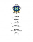 El sueño y su Importancia