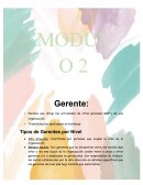 Tipos de Gerentes por Nivel