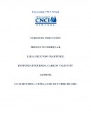 Proyecto modular cnci