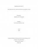 Ensayo diferenciación de los modelos administrativos del sector público y privado