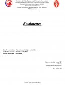 Pensamiento estratégico matemático