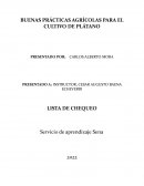 BUENAS PRÁCTICAS AGRÍCOLAS PARA EL CULTIVO DE PLÁTANO