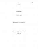 Como afectan las enfermedades mentales en el desarrollo de las personas