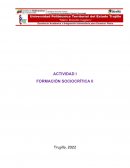 Actividad Formación sociocrítica