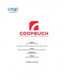DESARROLLO COOPEUCH